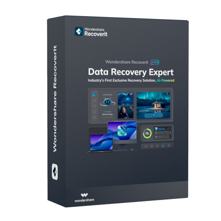 Wondershare Recoverit Data Recovery Expert for Windows Individual (Digital Perpetual License) | Randcore
